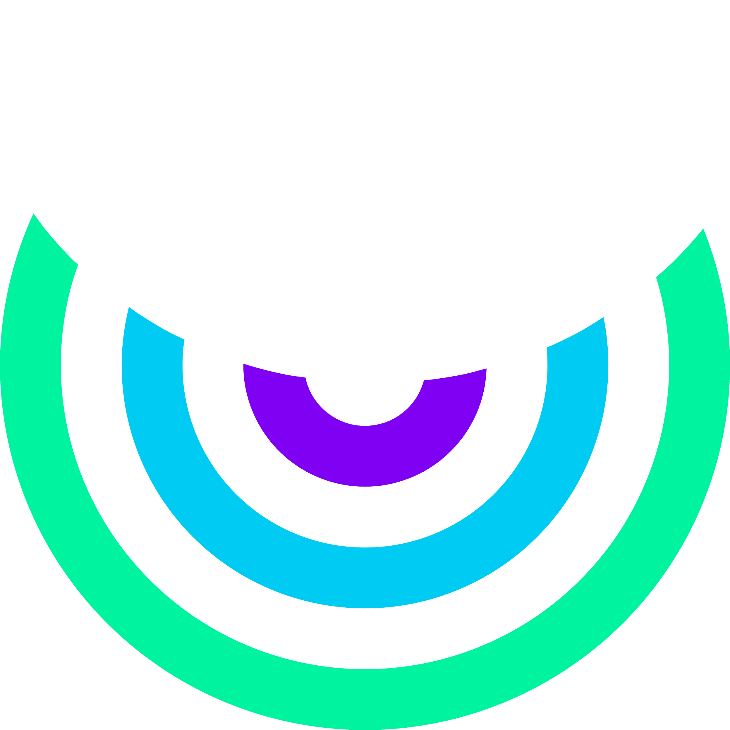 Vigilance Buddy app icon